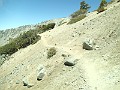 2014 Mt Baldy Cali 100